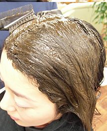 刷毛にヘナをのせ、頭皮へ載せるように塗る